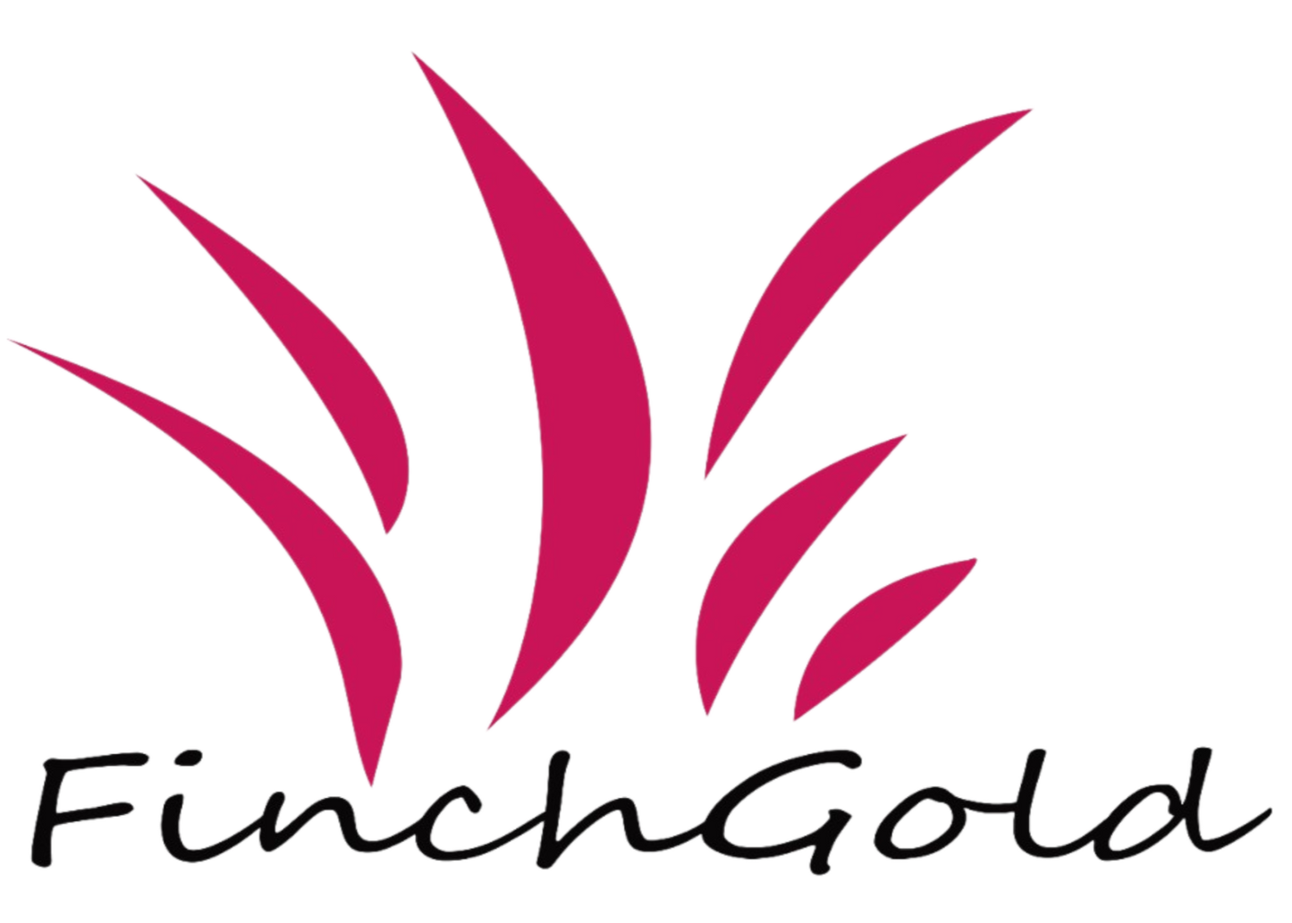 FinchGold 156L Jumbo Nylon Storage Bag – Moisture Proof, Multicolor