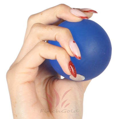 FinchGold Hand Exercise Gel Ball, Grip Strengthener (Large - Blue)